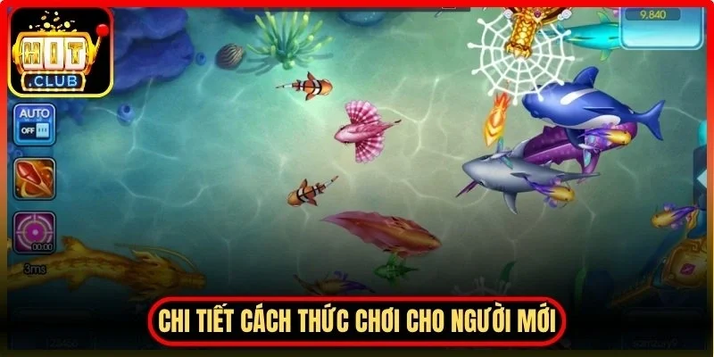 Chi tiết cách thức chơi cho người mới và kinh nghiệm nâng cao