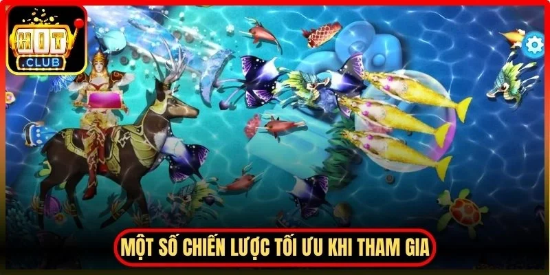 Một số chiến lược tối ưu khi tham gia săn xu vàng